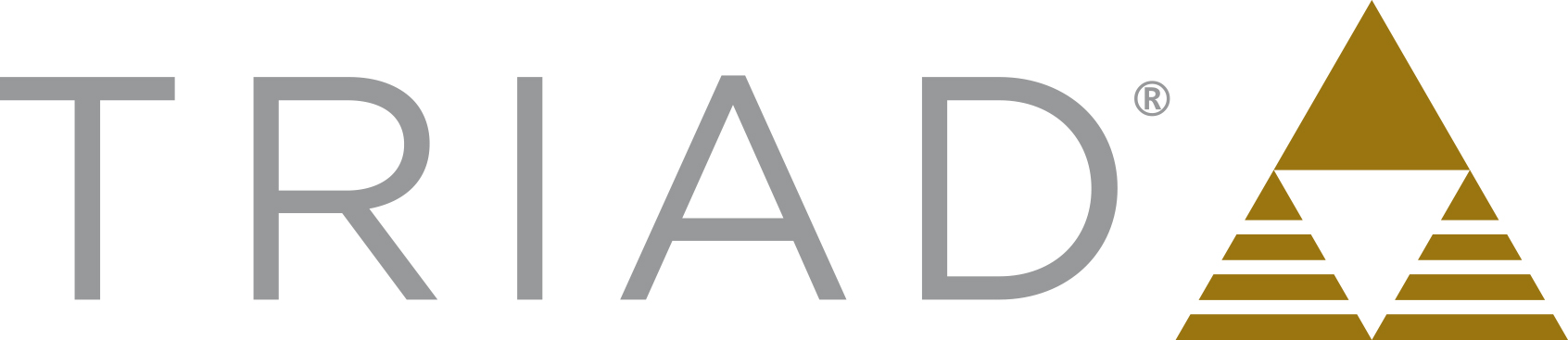 Triad logo